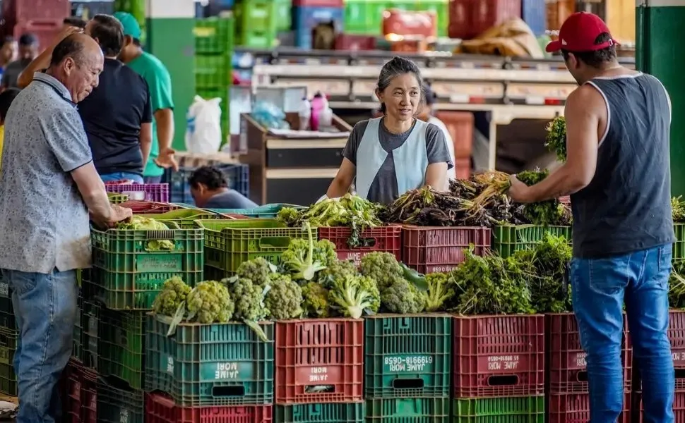 Imagem ilustrativa da imagem Anvisa inicia monitoramento de resíduos de agrotóxicos em alimentos