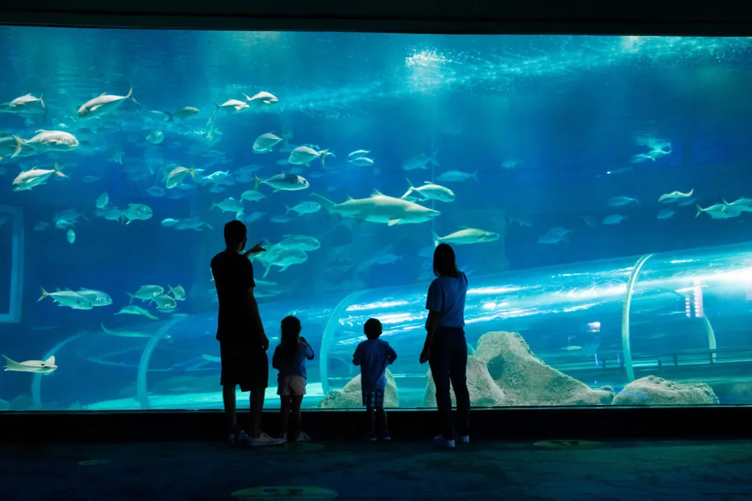 Imagem ilustrativa da imagem Aquário gigante para turismo e estudos em Guarapari