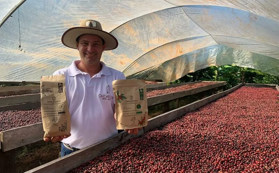 Imagem ilustrativa da imagem Café mais valioso no Brasil melhora salário e atrai investimento