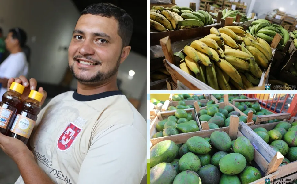 Imagem ilustrativa da imagem Cooperativa de Cariacica fortalece agricultura familiar e gera renda no campo