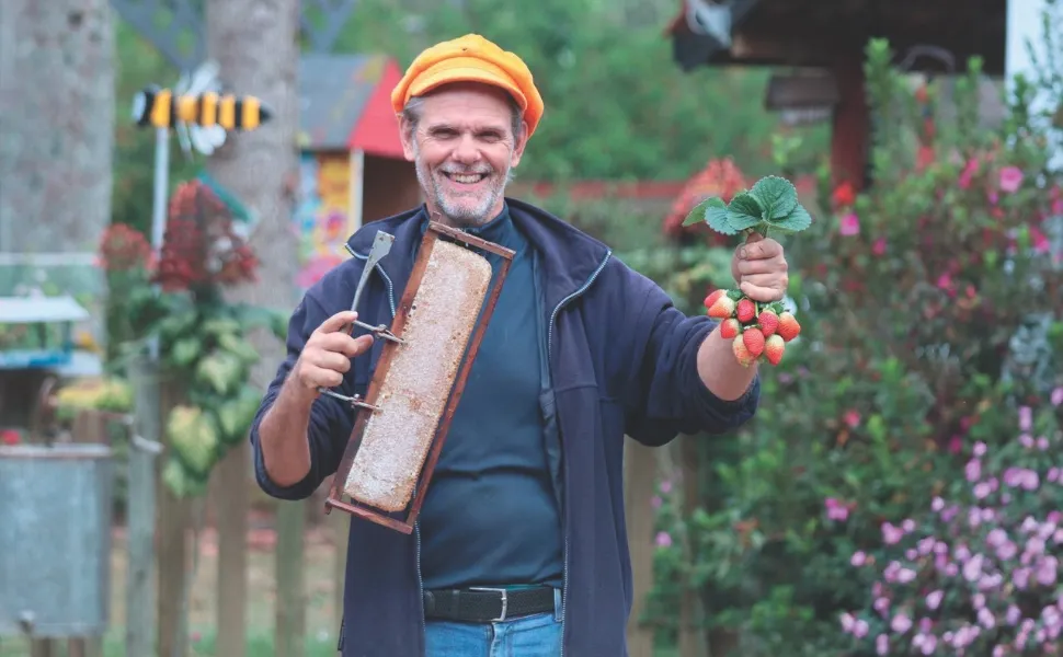 Imagem ilustrativa da imagem Diversão com passeio de balão e colheita de morango nas Montanhas
