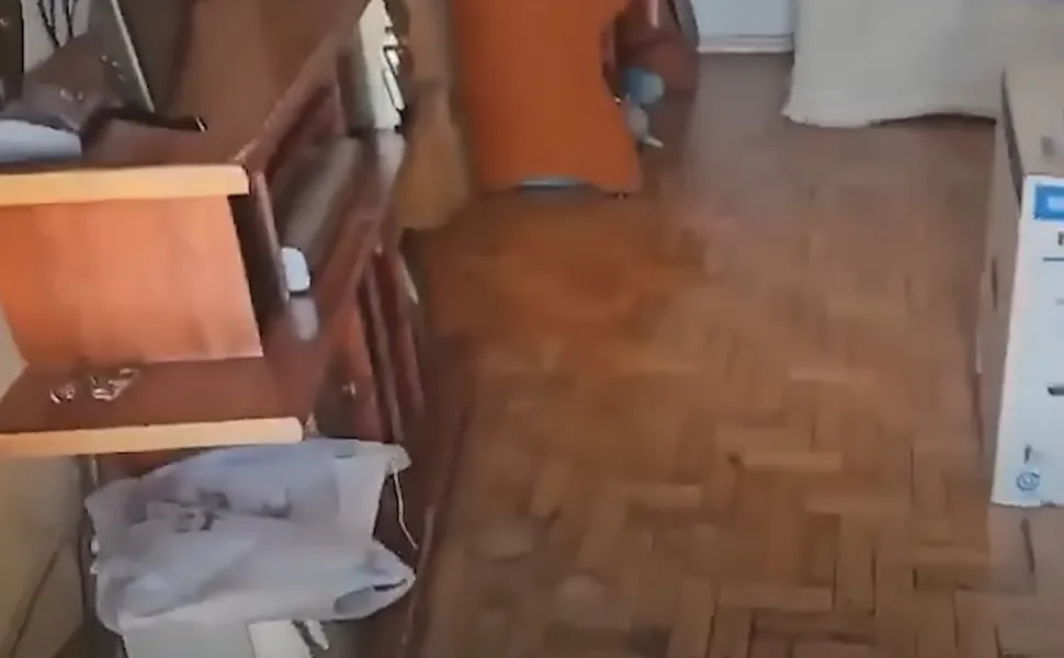 Imagem ilustrativa da imagem Filhos são presos no RJ sob suspeita de manter cadáver do pai em casa por 6 meses