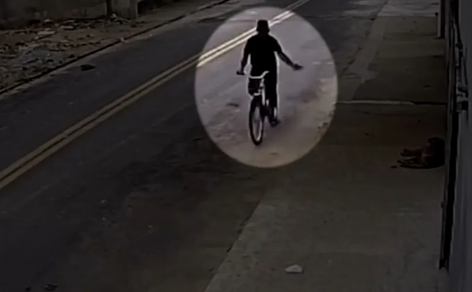 Imagem ilustrativa da imagem Homem é investigado por envenenar um cachorro de rua em Colatina