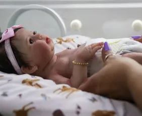 Imagem ilustrativa da imagem Rio pode ter ‘Dia da Cegonha Reborn’ após aprovação de projeto de lei