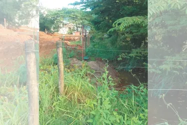 Imagem ilustrativa da imagem Abaixo-assinado para que terreno vire praça em Iriri