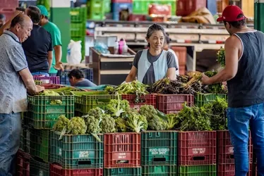 Imagem ilustrativa da imagem Anvisa inicia monitoramento de resíduos de agrotóxicos em alimentos