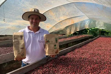 Imagem ilustrativa da imagem Café mais valioso no Brasil melhora salário e atrai investimento