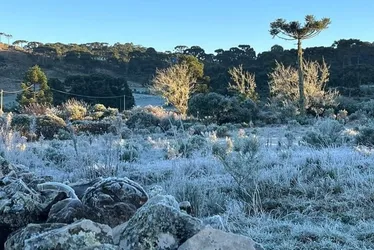 Imagem ilustrativa da imagem Cidade de SC tem a menor mínima do ano no Brasil e sensação térmica chega a -29°C