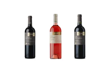 Imagem ilustrativa da imagem Conheça os vinhos servidos no leilão de Neymar Jr.