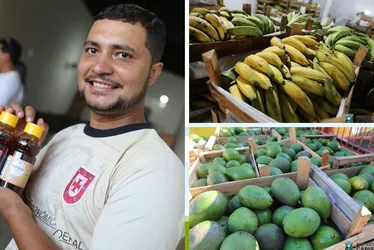 Imagem ilustrativa da imagem Cooperativa de Cariacica fortalece agricultura familiar e gera renda no campo