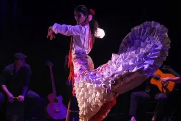 Imagem ilustrativa da imagem De tango a flamenco em restaurante de Vitória. Veja como assistir