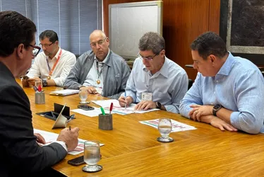 Imagem ilustrativa da imagem Deputados capixabas buscam apoio de outros estados em defesa do aço nacional