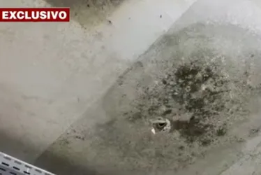 Imagem ilustrativa da imagem Descaso de uma década: teto cai em unidade de saúde de Olinda e escancara abandono