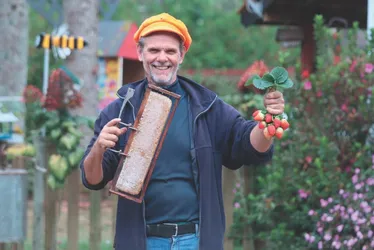 Imagem ilustrativa da imagem Diversão com passeio de balão e colheita de morango nas Montanhas