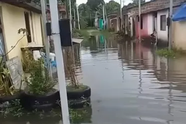 Imagem ilustrativa da imagem Final de semana com chuva na Mata Sul de Pernambuco