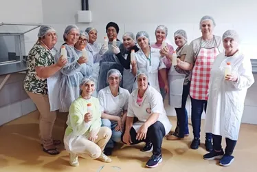 Imagem ilustrativa da imagem Em Linhares, agricultoras investem na produção de mel de cacau 100% natural