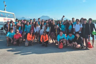 Imagem ilustrativa da imagem Estudantes de Minas Gerais têm aulas de biologia marinha em Guarapari