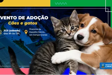 Imagem ilustrativa da imagem Evento neste sábado para adoção de cães e gatos em Cariacica