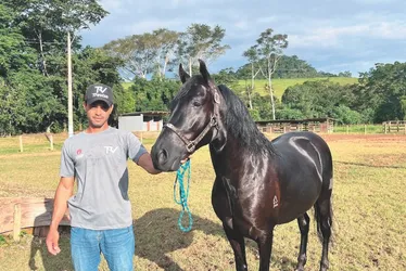 Imagem ilustrativa da imagem Exposição de cavalos e shows em Alfredo Chaves