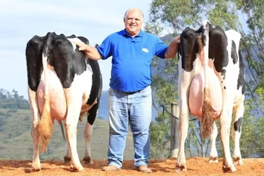 Imagem ilustrativa da imagem Fazenda do ES conquista prêmio de melhor criador de gado em feira internacional