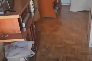Imagem ilustrativa da imagem Filhos são presos no RJ sob suspeita de manter cadáver do pai em casa por 6 meses