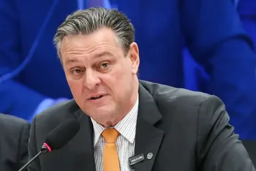 Imagem ilustrativa da imagem Gripe aviária não deve impactar preço da carne de frango, diz ministro