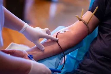 Imagem ilustrativa da imagem Hemocentro de Vitória fecha neste sábado para manutenção na rede elétrica