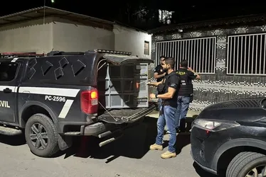 Imagem ilustrativa da imagem Homem é preso suspeito de envolvimento em caso de feminicídio no Noroeste do Estado