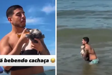 Imagem ilustrativa da imagem Influenciador é alvo de CPI após publicar vídeo oferecendo cerveja para cachorro