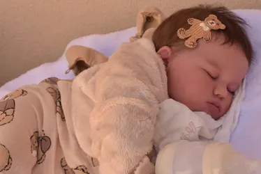 Imagem ilustrativa da imagem “Mãe” de bebê reborn entra na Justiça por salário-família e licença-maternidade