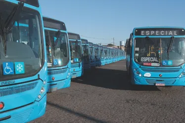 Imagem ilustrativa da imagem Mais 40 ônibus com ar-condicionado são integrados à frota do Transcol