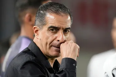 Imagem ilustrativa da imagem 'Matamos o PSG com o mesmo veneno deles', diz técnico do Botafogo