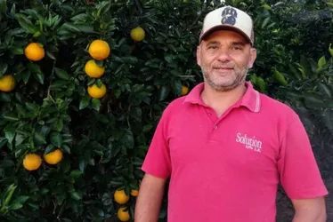 Imagem ilustrativa da imagem O que um produtor do ES fez para dobrar a produção de laranjas