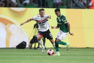 Imagem ilustrativa da imagem Palmeiras e São Paulo disputam liderança geral da Libertadores 2025; veja as contas