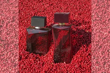 Imagem ilustrativa da imagem Pimenta-rosa do Espírito Santo é usada na fabricação de perfumes famosos