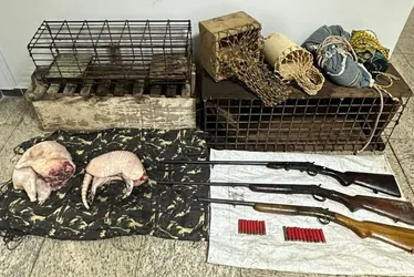 Imagem ilustrativa da imagem Polícia ambiental apreende caçador e animais silvestres abatidos no Sul do ES