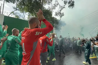 Imagem ilustrativa da imagem Torcedores do Palmeiras fazem grande festa antes de embarque do elenco para os EUA