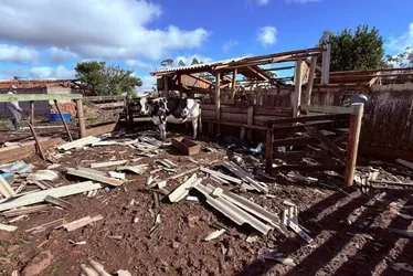 Imagem ilustrativa da imagem Tornado destrói pavilhão e danifica 285 casas no Rio Grande do Sul