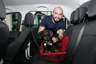 Imagem ilustrativa da imagem Transportar pet no carro pode render multa ao motorista; saiba quanto