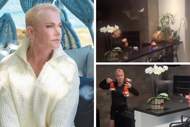Imagem ilustrativa da imagem Após Xuxa alimentar morcegos, especialista alerta: riscos à saúde são graves