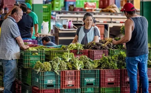 
          Imagem ilustrativa da imagem Anvisa inicia monitoramento de resíduos de agrotóxicos em alimentos
          