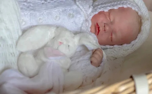 
          Imagem ilustrativa da imagem Bebês reborn viram tema de dois projetos de lei no ES. Entenda as propostas
          