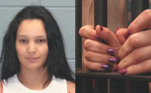 
          Imagem ilustrativa da imagem Brasileira é presa nos EUA por deixar filhos no carro
          