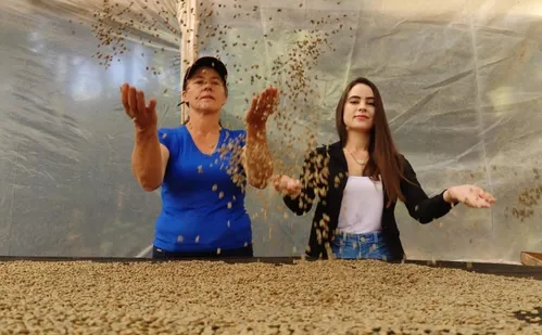 
          Imagem ilustrativa da imagem “Café com Aroma de Mulher” do ES: conheça a história de família de Vargem Alta
          