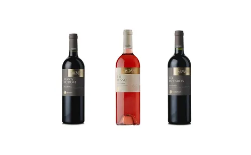 
          Imagem ilustrativa da imagem Conheça os vinhos servidos no leilão de Neymar Jr.
          