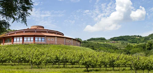 
          Imagem ilustrativa da imagem Conheça os vinhos servidos no leilão de Neymar Jr.
          