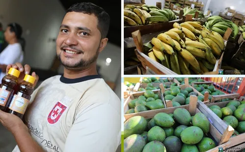 
          Imagem ilustrativa da imagem Cooperativa de Cariacica fortalece agricultura familiar e gera renda no campo
          