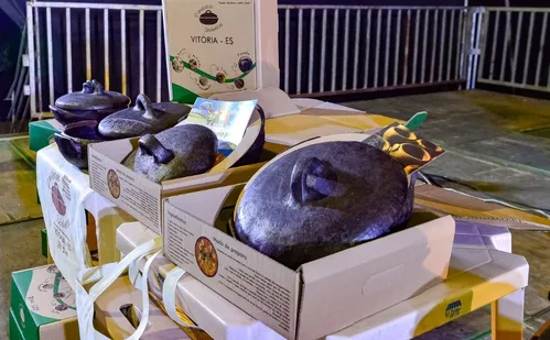 
          Imagem ilustrativa da imagem Dia das Paneleiras de Vitória: tradição e cultura celebradas em festas
          