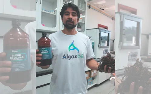 
          Imagem ilustrativa da imagem Do mar para o campo: algas ganham valor na agricultura e nutrição animal
          