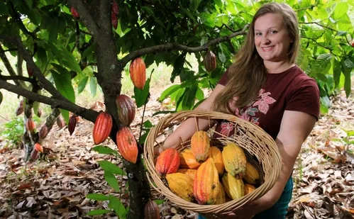 
          Imagem ilustrativa da imagem Engenheira reinventa vida profissional e se torna produtora de chocolate
          